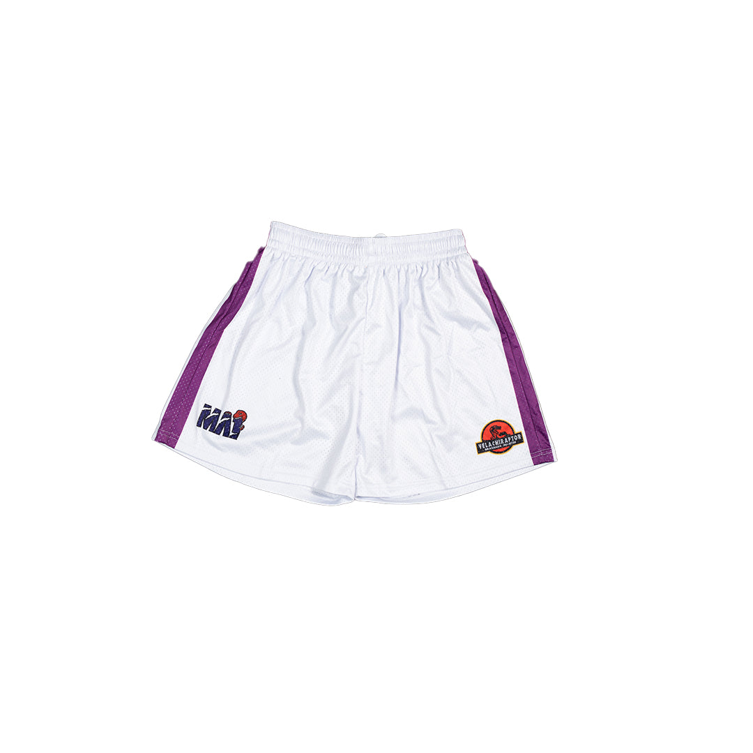 MA1 Absolute MMA Raptors Basketball Shorts